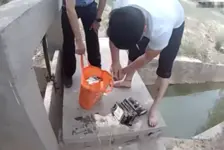 小偷顺走硬盘变大案