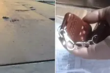 违规地磅乱象