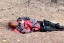 7只狗把人咬成重伤狗主获刑