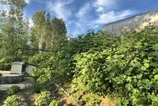 多地高标准农田“难产”