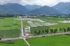 湖南江华虚报水稻面积