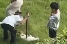 徐州3名男孩虐猫致死