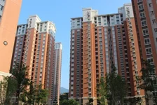 楼市交易活跃