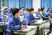 教育领域出现结构优化
