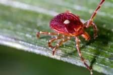 美国遭遇双重疫情