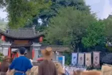 女子景区退票被拒还遭威胁