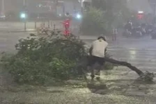 台风“白海豚”来袭
