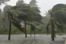 台风“白海豚”来袭