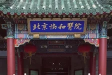 今日辟谣