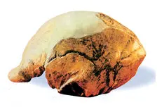 历史百科(2):华夏|中国历史到底是怎样发展过来的? 第2张 历史百科(2):华夏|中国历史到底是怎样发展过来的? 第2张