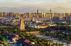 2025中国（陕西）—跨国公司产业合作大会举行