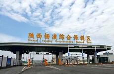 陕西：“自贸”引领农业对外开放步伐