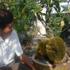 F28F9F03782983F733D3119C37C705126CAADF02_size52_w491_h491.jpeg