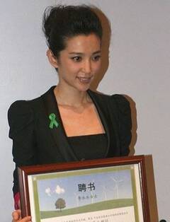 收入最高的明星_明星工作室收入