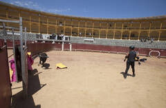 太拼了!杨千嬅录节目被公牛顶翻 爬不起身