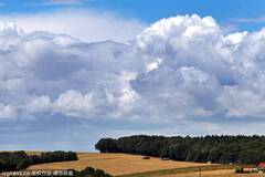 rdn_50020c399a1b1.jpg