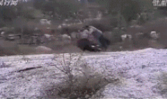 [晚fun来了]飞天遁地二八大杠|上海的锅雨神不能背