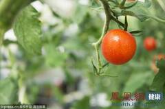rdn_51ef092b50aa7.jpg