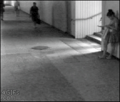 [动图]女汉子岂是 你想惹就能惹的