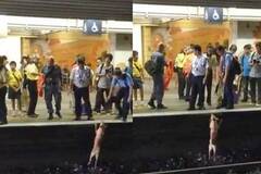 港铁碾死小狗被谴责：还狗一个公道