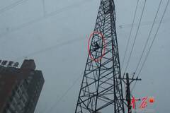 郑州男子高压线塔上撒钱讨薪