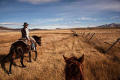 美国西部：别人家的牧场