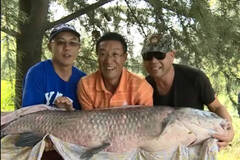 江苏：3人蹲守7天钓上百斤重大鱼