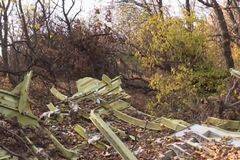 MH17坠毁三个月残骸堆满落叶