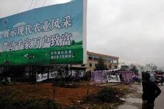 湖北：村民堵牧场大门半个月，饿死60余头奶牛