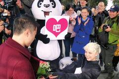 26岁乌克兰女扮熊猫向中国小伙求婚