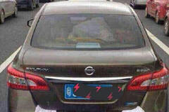 乐广高速现一车拖两鸡