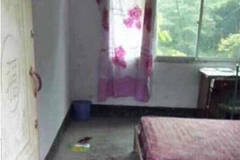 陕西一老师打伤4名小学生后逃逸