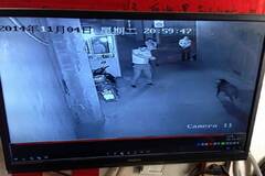 民警开枪打野猪 击中路边女孩