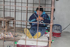 12岁男孩被父亲关进铁笼生活