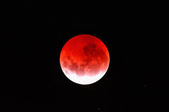 世界各地的“红月亮”