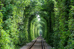 南京版“爱情隧道”