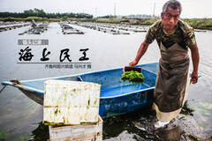 烟台“海上农民工”的一天