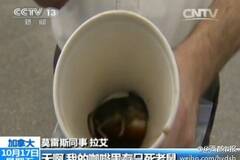 加拿大：麦当劳咖啡喝出死老鼠