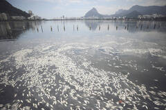 明年这里将举行奥运会