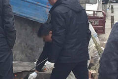 西安3男子用煤气喷枪当街烧狗 场面惨烈