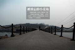 被淡忘的小麦岛