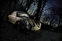 被植物吞噬的汽车