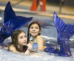 培训美人鱼的学校