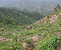 女司机油门当刹车 刚祈福完开车就坠崖