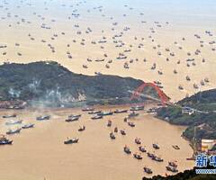 东海休渔结束：千帆竞渡场面