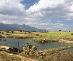 战火重燃前夕的果敢