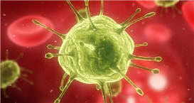 中国科学家发现抗新艾滋成分