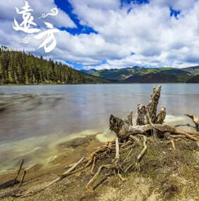 普达措：中国第一个国家公园 高原上的童话世界