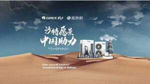 中国如何助力沙特实现“2030愿景”？ 