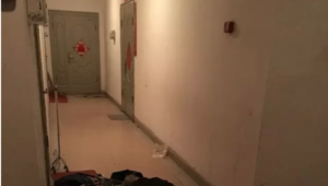 他们有5个子女 但住在儿子家门口楼道